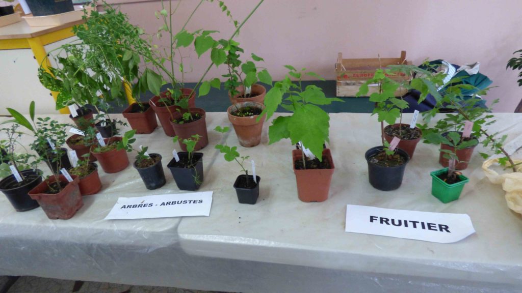 Bourse aux plantes novembre